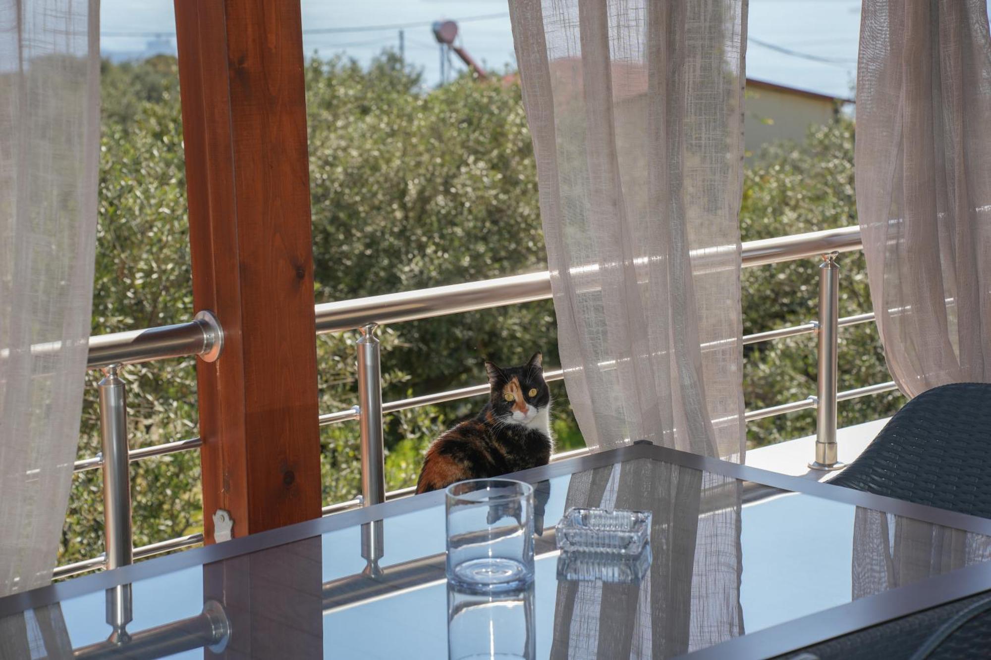 Sundaymar Stone House Appartement *